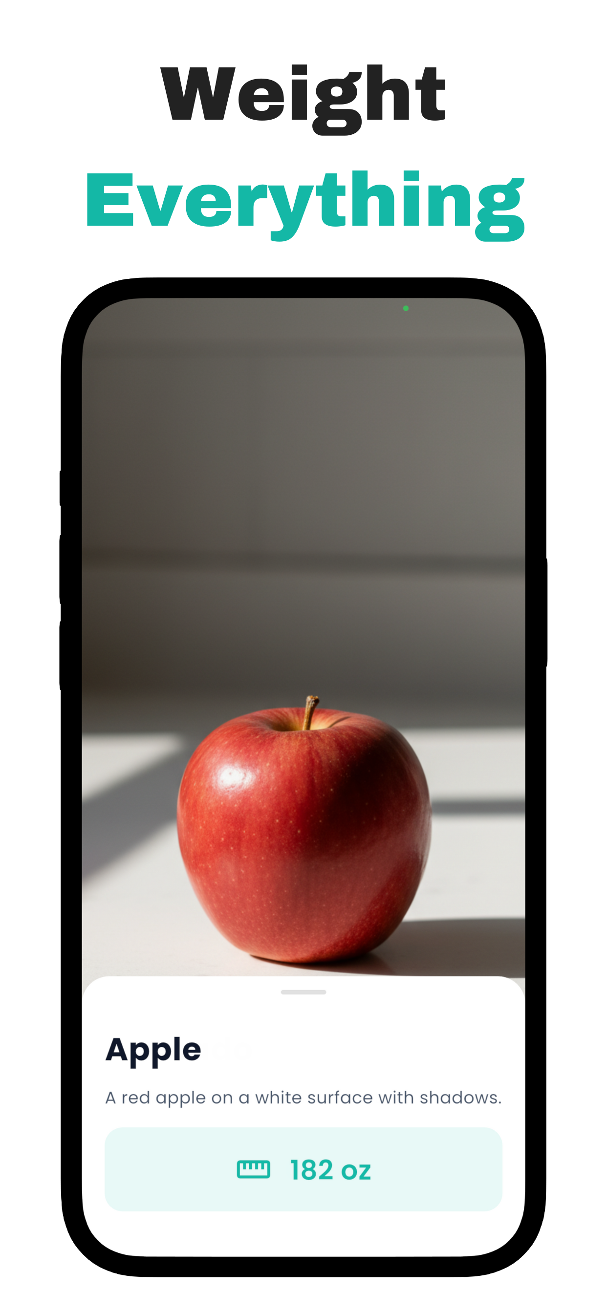 Placing item for weighing with digital scale app